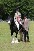 thornton-le-dale-gala showclass7acharity25-5-20259